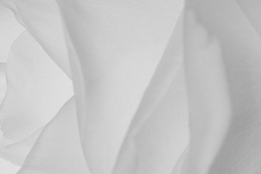 DIAGNÓSTICO GRATUITO FACIAL Y CORPORAL