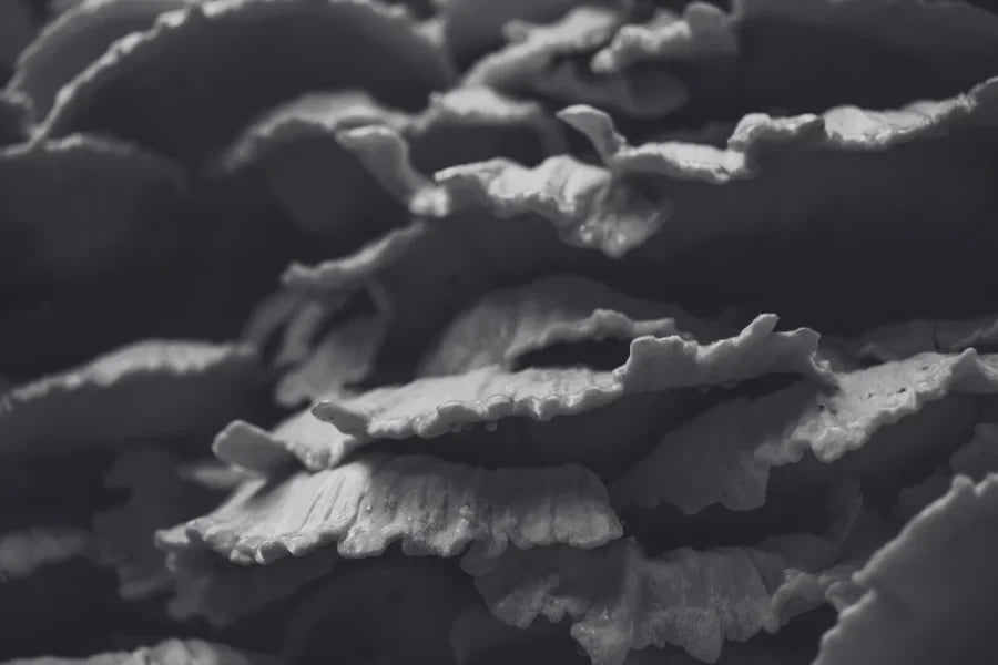 Masaje Terapéutico Antiinflamatorio en Madrid