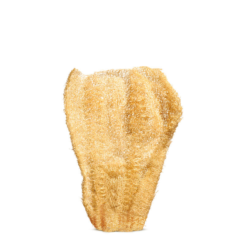Corpus Fluentis Jeûne